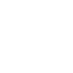 Vesa Logo